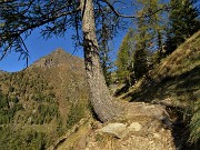 14 Vista sul Pizzo di Giacomo (2184 m)